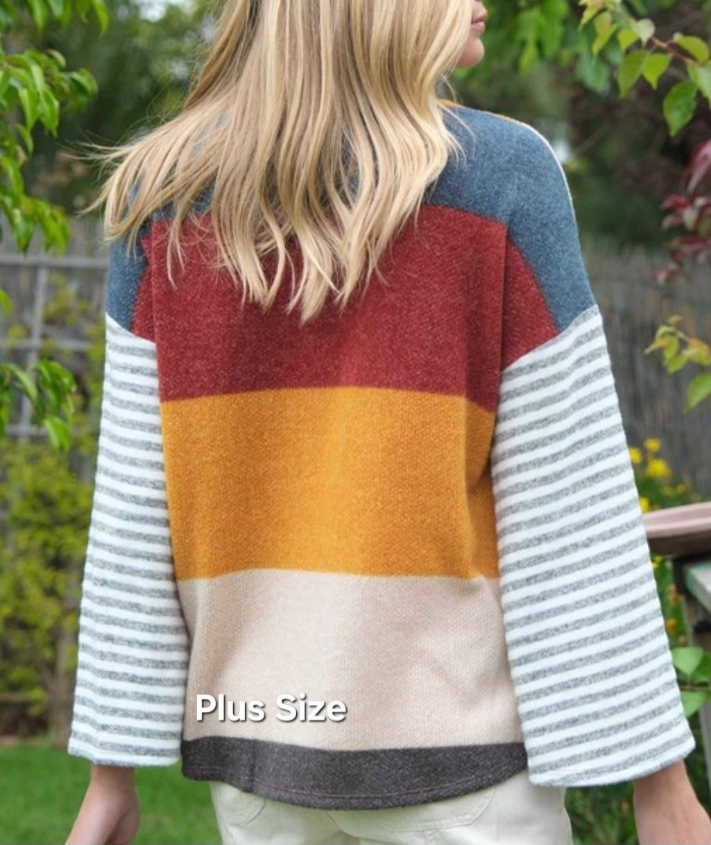 Color Block Stripe PLUS
